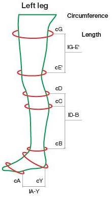 ReadyWrap - Calf - Male and Female - Left and Right legs